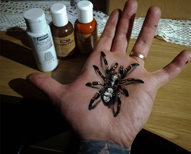 Тату с 3D-эффектом: пауки, пчелы, осы и другое (12 фото)